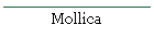 Mollica